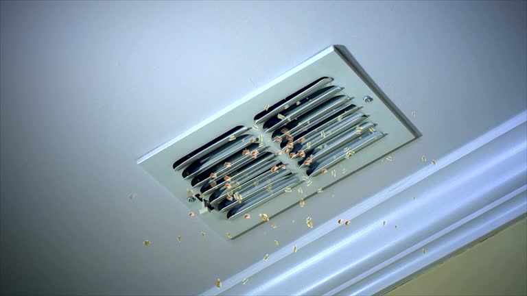 Best Home Air Vent Cleaning  in Petoskey, MI